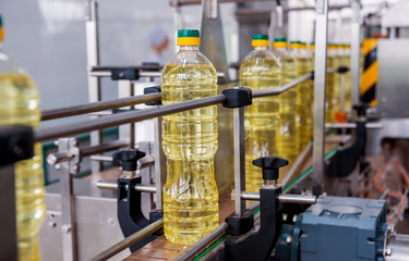 Bottling line of sunflower oil in bottles. Vegetable oil production plant. High technology.