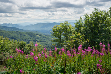 Bieszczady, widok z Okrąglika