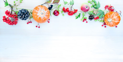 Autumn background with apples and pumpkins, mountain ash and plums. Frame  on the autumn theme  with copy space. Mockup for autumn offers. Top view, flat lay