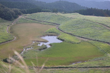 曽爾高原　すすき