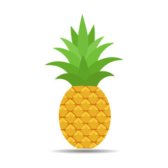 Illustration of tropical fruit pineapple with shadow on a white background.