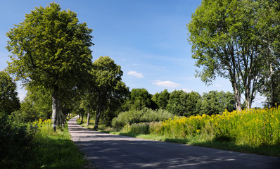 Rural road