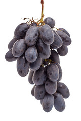 Grapes with grape leaf isolated on white background.