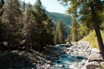 valle d'aosta , valle di cogne