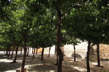 Almuñecar y Sierra Nevada