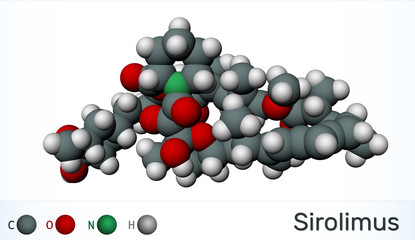 Sirolimus or rapamycin molecule. is a macrolide compound with immunosuppressant functions.  Molecule model
