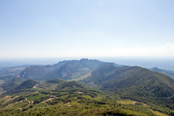 Obraz premium Dentelles de Montmirail chain of mountains and vineyards in wine region Provence in Vaucluse, France