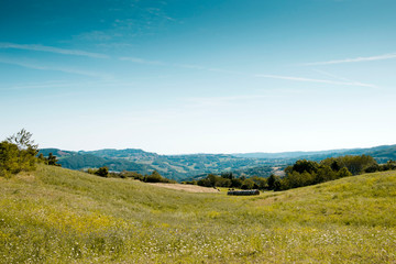 Fototapeta premium peace of sense