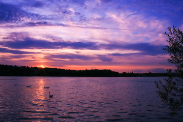Amazing romantic sunset over the water. Reflection of the colorful sky in the lake. Vegetations in foreground. 