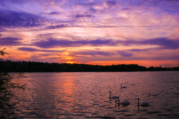 Sweet landscape of a sunset over a lake. Sun setting behind the silhouette of the horizon. Very colorful blue and pink sky above the water in the evening with vegetation in the foreground.     