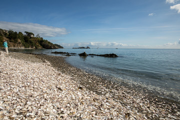 Thousands of empty shells of eaten oysters discarded on sea floor in Cancale, famous for oyster...