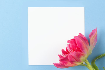 Spring flower mockup. Floral composition with copy space. Flat lay style