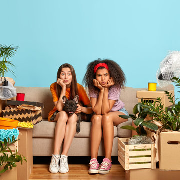 Two Diverse Young Female Roommates Sit On Couch With Pedigree Dog, Relocate In New Cozy Apartment, Have Moving Day, Packed Boxes Around, Isolated Over Blue Background. Changing Place Of Living