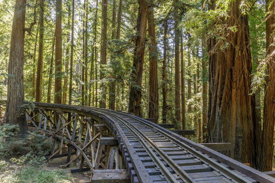 Steam Train Railroad and Trestle Bridge over Redwoods. Felton, Santa Cruz County, California, USA.