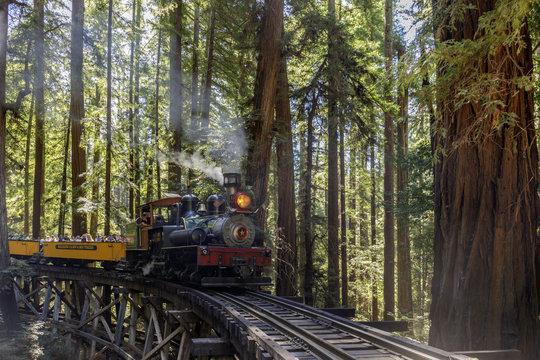 Roaring Camp' Dixiana Shay Steam Train over Trestle Crossing Redwoods in Santa Cruz Mountains.