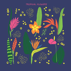 Collection of exotic tropical flowers in flat style.