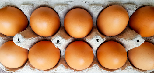 Close up view of raw chicken eggs in an egg box