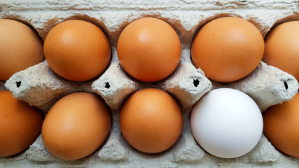 Close up view of raw chicken eggs in an egg box