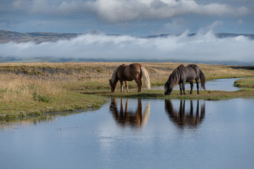 Just like another Icelandic reflection 