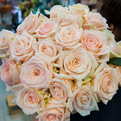 Beautiful bouquet of bright and colorful flowers