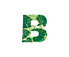 Tropical Jungle Vector Logo Letter B. B Letter Design Vector Jungle Tropical Leaves.
