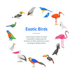 Fototapeta premium Cartoon Color Exotic Bird Banner Card Circle . Vector