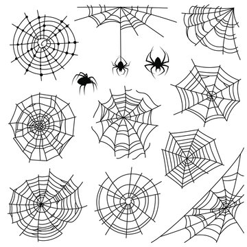 Cobweb. Halloween monochrome spiderweb and dangerous spider. Web silhouettes for creepy horror tattoo and decoration, vector set