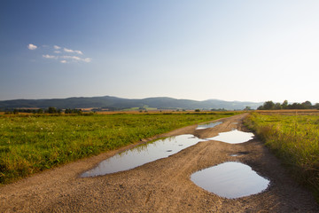 Road through the fields in Poland.
