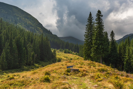 Landscapes of Ukrainian Carpathian meadows and mountain slopes.
