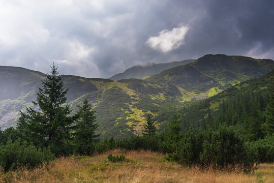 Landscapes of Ukrainian Carpathian meadows and mountain slopes.