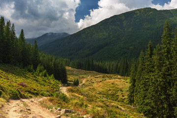 Landscapes of Ukrainian Carpathian meadows and mountain slopes.