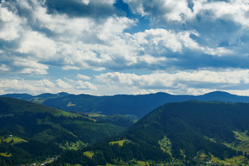 Spruces on hills - beautiful summer landscape, cloudy sky at bright sunny day. Carpathian mountains. Ukraine. Europe. Travel background.