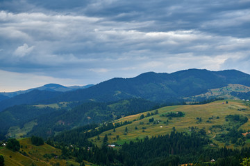 Obraz premium Beautiful summer sunset and landscape - spruces on hills in the evening. Meadow or grassland. Carpathian mountains. Ukraine. Europe. Travel background.