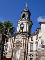 Fototapeta na wymiar palmiers place de la mairie