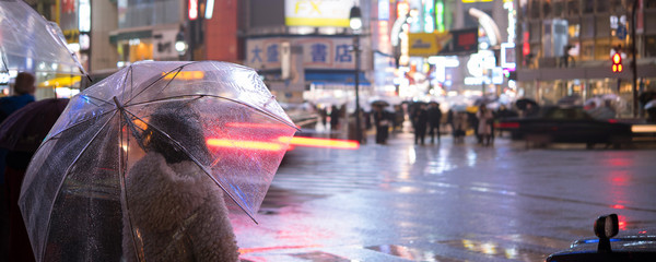 Woman with umbrella at rainy Shibuya Crossing　雨の渋谷スクランブル交差点...