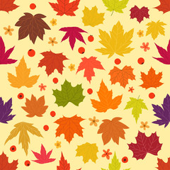 Color maple leaves vector seamless background