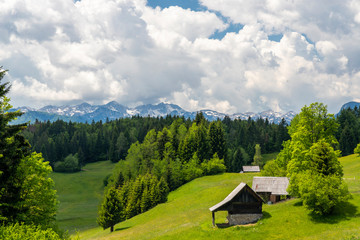 Triglavski national park near Bohinj lake, Slovenia
