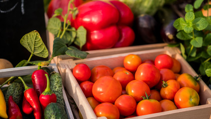 Stall with seasonal vegetables at the farmers market - set of vegetables nicely laid out