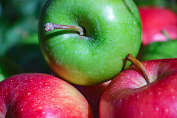 Apples close-up on a green background