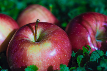 Apples close-up on a green background