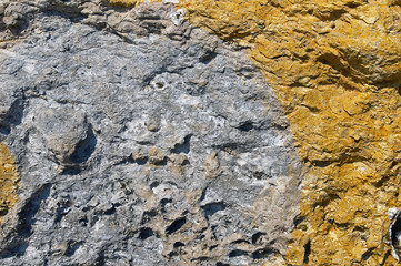 Fragment of a stone wall on the sea coast