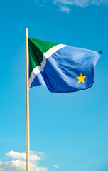 A beautiful view of brazil state flag (bandeira do mato grosso do sul).