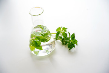 Natural medicine, Equipment and science experiments, Formulating the chemical for medicine, Organic pharmaceutical, Alternative medicine concept
