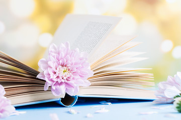 Opened old book with chrysanthemum flower on blurred bokeh background