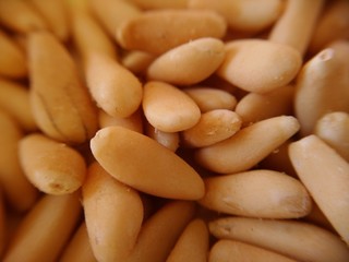 Detail of pine nuts for kitchen