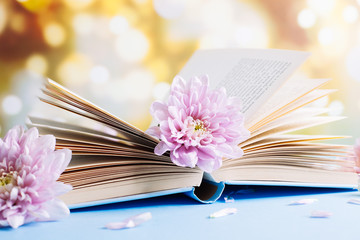 Opened old book with chrysanthemum flower on blurred bokeh background