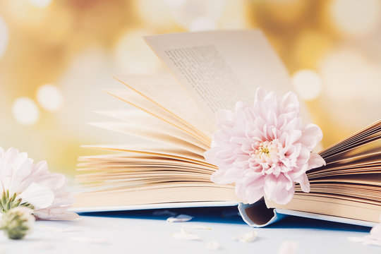 Opened old book with chrysanthemum flower on blurred bokeh background