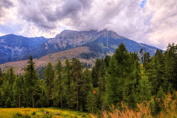 Fototapeta na wymiar Dolomites - Italy