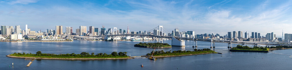 Naklejka na ściany i meble Tokyo Tower Rainbow bridge panorama