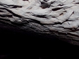 Teto de Caverna © Anderson